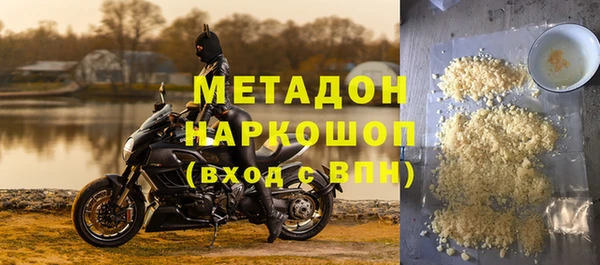 сатива Новозыбков