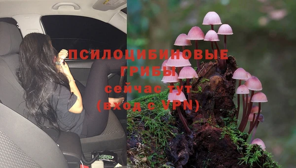 экстази Нея